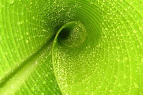 世界拳击退役运动员心理康复项目学术成果汇编发布，拳击 心理